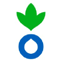 actionagainsthunger.org