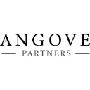 angovepartners.com