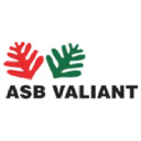 ASB VALIANT COMPANY LIMITED