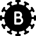 BAC Software Consulting