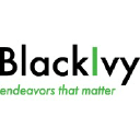 BlackIvy Group