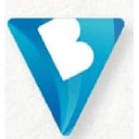 BVictorious Management Consultancy