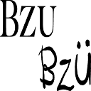 bzubzu.sg
