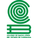 cobachih.edu.mx