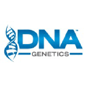 DNA Swine Genetics