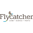 Flycatcher LLC
