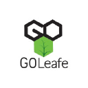 goleafe.com