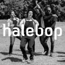 Halebop