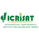 icrisat.org