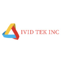 ividtek.com