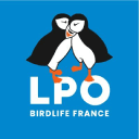 lpo-auvergne.org