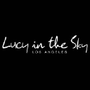 LUCY IN THE SKY INC