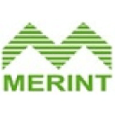 The Merint Group