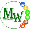 Metson World
