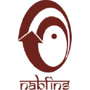NABFINS LTD