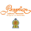 nenasala.lk