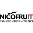 nicofruit.it