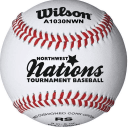 nwnationsbaseball.com