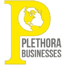 plethorabusinesses.com
