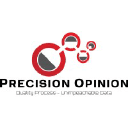 precisionopinion.com
