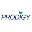 prodigy-group.com