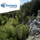 Saint-Gobain Formula