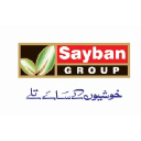 saybangroup.com