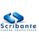 Scribante Labour Consultants