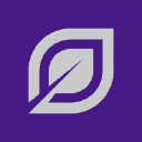 Silver Birch Finance