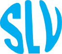 slvgroup.in