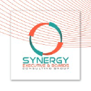 synergyonboards.com