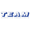 Team Executive Consultants