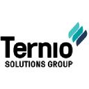 terniosolutions.com