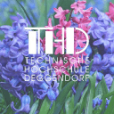 th-deg.de