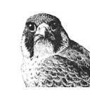 theaccountingdepartment.com.au