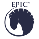 THE BIG HORSE SHOP LTD