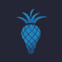thepineappleagency.com