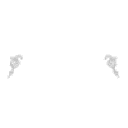 tuniefuneralhomeinc.com