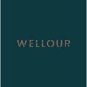 wellour.com.br