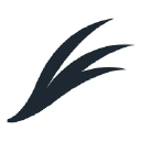 Willow Capital Partners