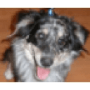 wsh.dbhds.virginia.gov