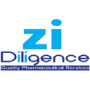 zidiligence.com