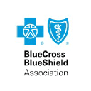 Company Blue Cross Blue Shield Association