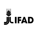 Company International Fund for Agricultural Development (IFAD)