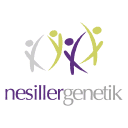 Company Nesiller