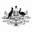 Company Australian Trade and Investment Commission
