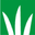 Company Dlf