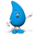 Company ESVAL S.A.