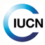 Iucn Org