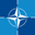 Company NATO